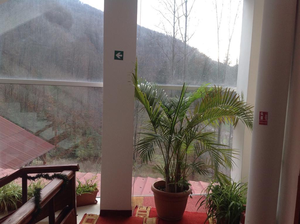 Hotel Panoramic Moneasa Oda fotoğraf