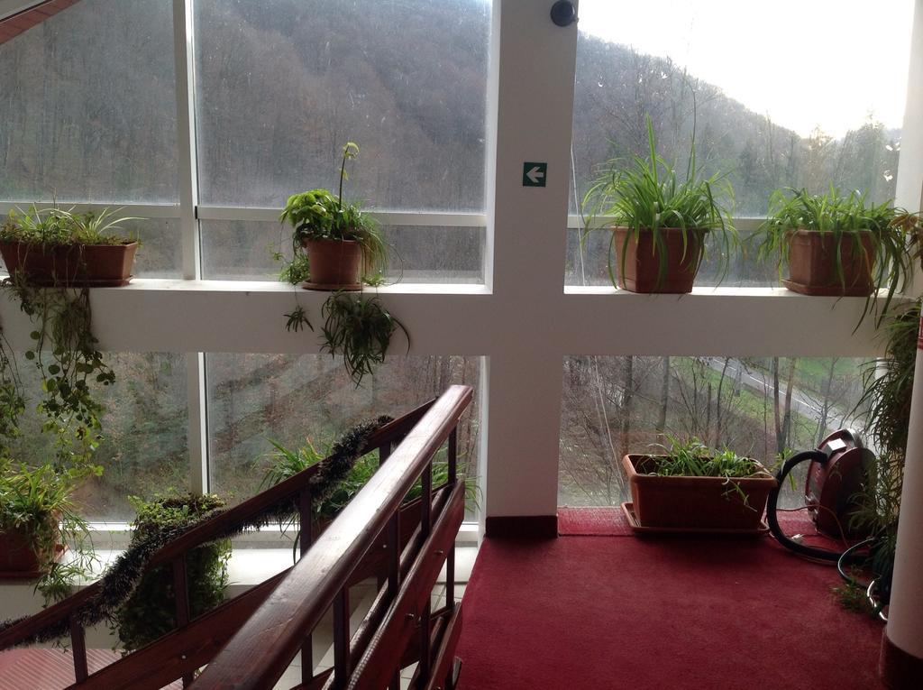 Hotel Panoramic Moneasa Oda fotoğraf